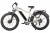 Электровелосипед Gelbert Pegas 3 DUAL PRO