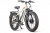 Электровелосипед Gelbert Pegas 3 DUAL PRO