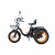 Электровелосипед Kugoo Kirin Trike