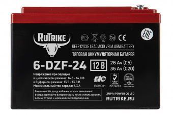 Тяговый аккумулятор RuTrike 6-DZF-24 (12V24AH C2)