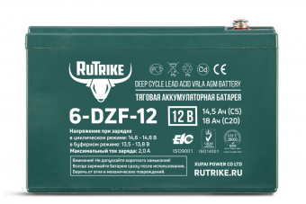 Тяговый аккумулятор RuTrike 6-DZF-12 (12V13AH C3)