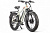 Электровелосипед Gelbert Pegas 3 DUAL PRO
